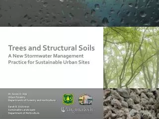 Trees and Structural Soils A New Stormwater Management Practice for Sustainable Urban Sites
