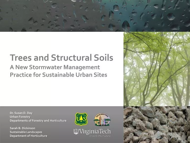 trees and structural soils a new stormwater management practice for sustainable urban sites
