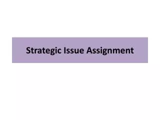 Strategic Issue Assignment