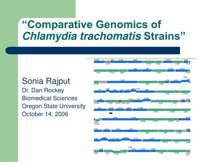 comparative genomics of chlamydia trachomatis strains