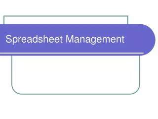 Spreadsheet Management