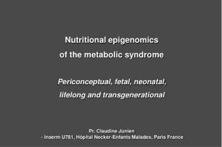Nutritional epigenomics of the metabolic syndrome Periconceptual, fetal, neonatal, lifelong and transgenerational
