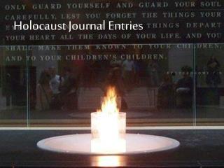 Holocaust Journal Entries
