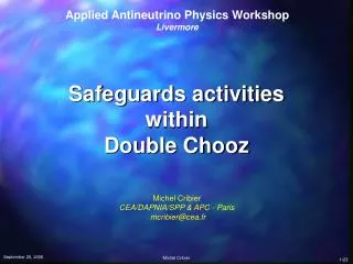 Safeguards activities within Double Chooz