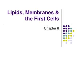 Lipids, Membranes &amp; the First Cells