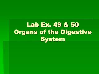 Lab Ex. 49 &amp; 50 Organs of the Digestive System
