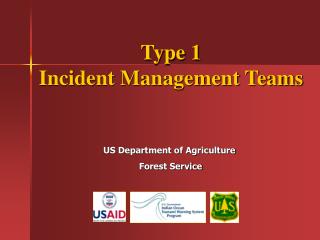 Type 1 Incident Management Teams