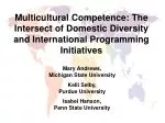 Multicultural Competence: The Intersect of Domestic Diversity and International Programming Initiatives - slide 1