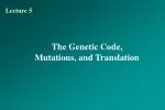 The Genetic Code, Mutations, and Translation - slide 1