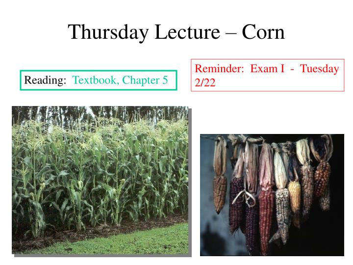 thursday lecture corn
