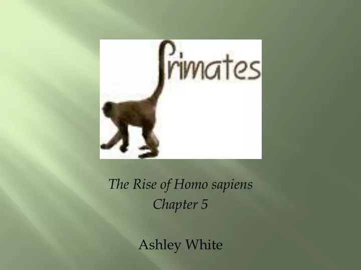 the rise of homo sapiens chapter 5 ashley white