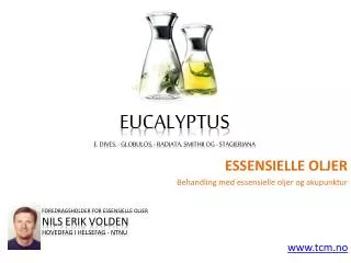 Essensielle oljer - Eucalyptus