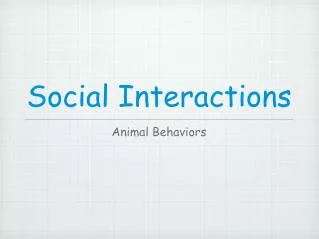 Social Interactions