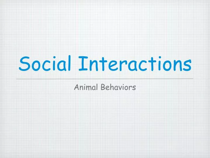 social interactions