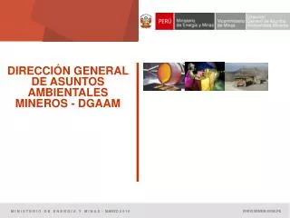 DIRECCIÓN GENERAL DE ASUNTOS AMBIENTALES MINEROS - DGAAM