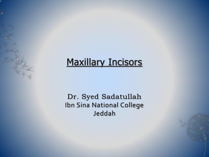 maxillary incisors dr syed sadatullah ibn sina national college jeddah
