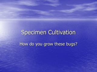 Specimen Cultivation