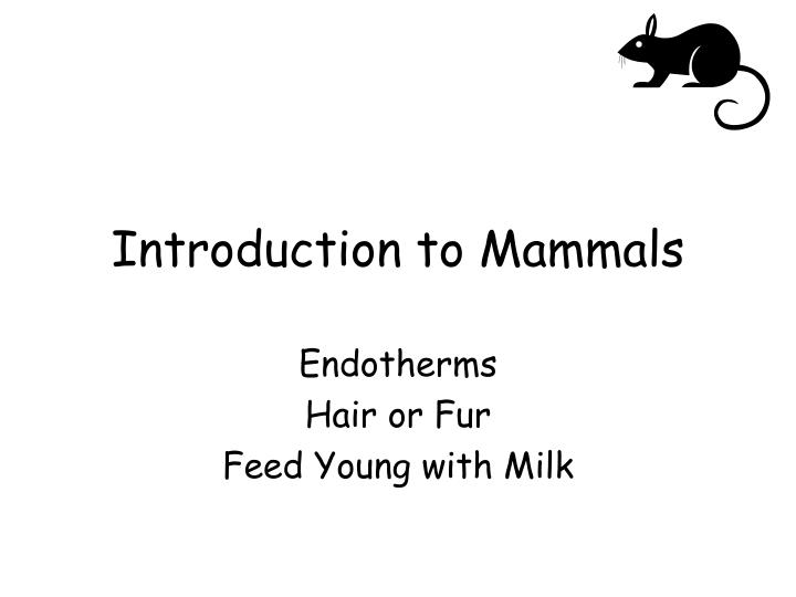 introduction to mammals