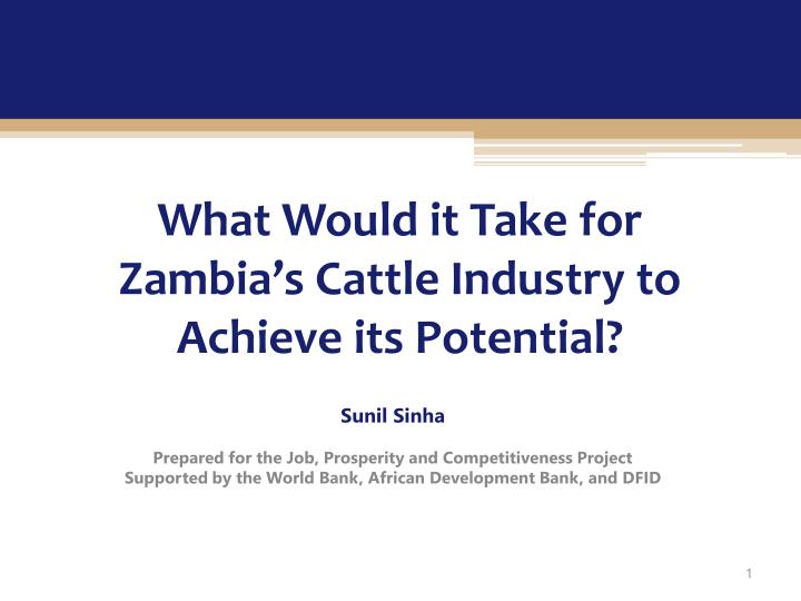 what would it take for zambia s cattle industry to achieve its potential