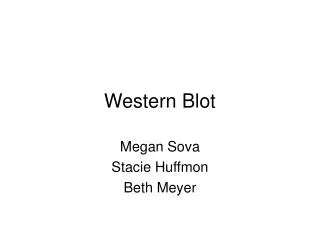 Western Blot