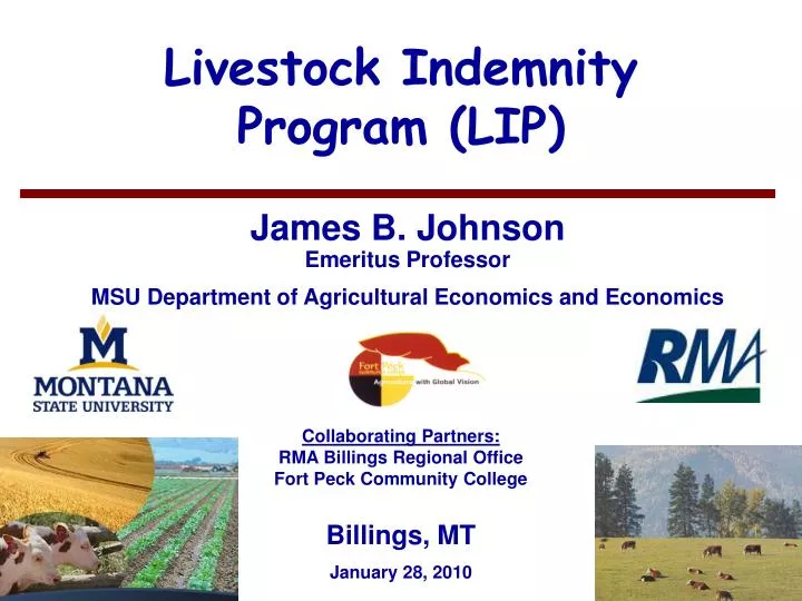 livestock indemnity program lip