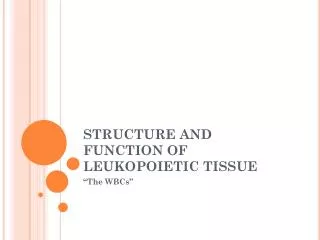 STRUCTURE AND FUNCTION OF LEUKOPOIETIC TISSUE