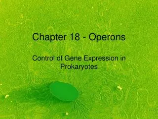 Chapter 18 - Operons