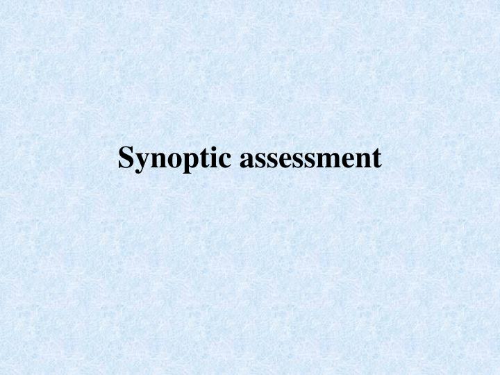synoptic assessment