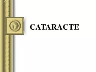 CATARACTE
