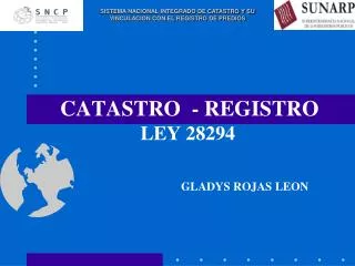 CATASTRO - REGISTRO LEY 28294