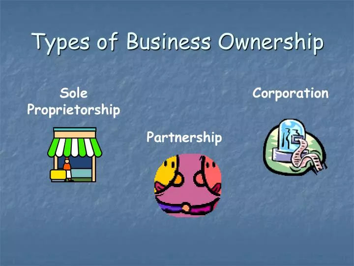 types of business ownership