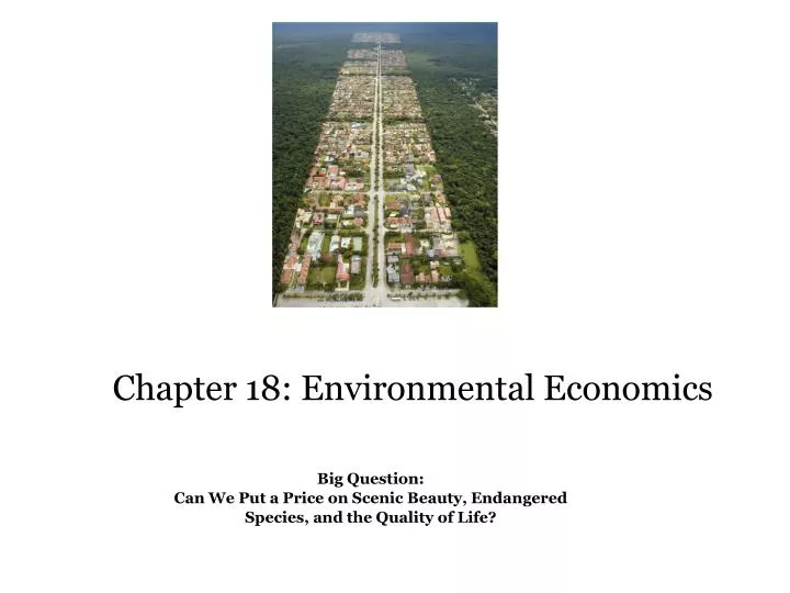 chapter 18 environmental economics