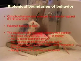 Biological boundaries of behavior