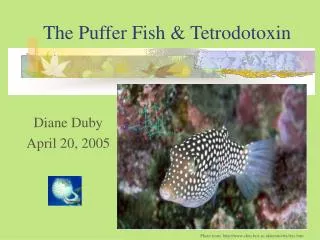 The Puffer Fish &amp; Tetrodotoxin