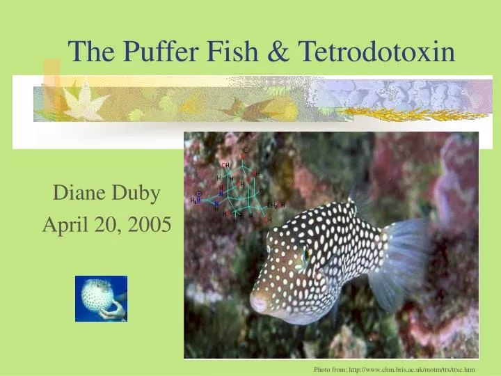 the puffer fish tetrodotoxin