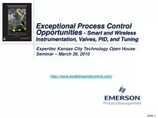 Exceptional Process Control Opportunities - Smart and Wireless Instrumentation, Valves, PID, and Tuning