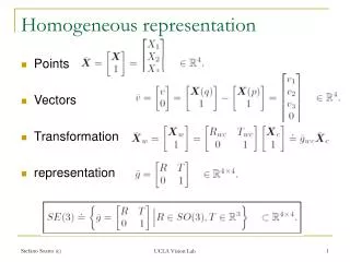 Homogeneous representation