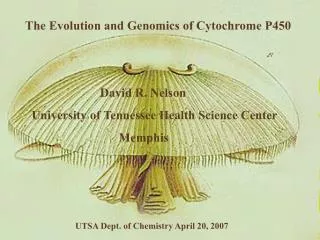The Evolution and Genomics of Cytochrome P450 David R. Nelson University of Tennessee Hea