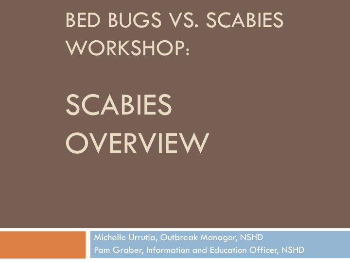 bed bugs vs scabies workshop scabies overview