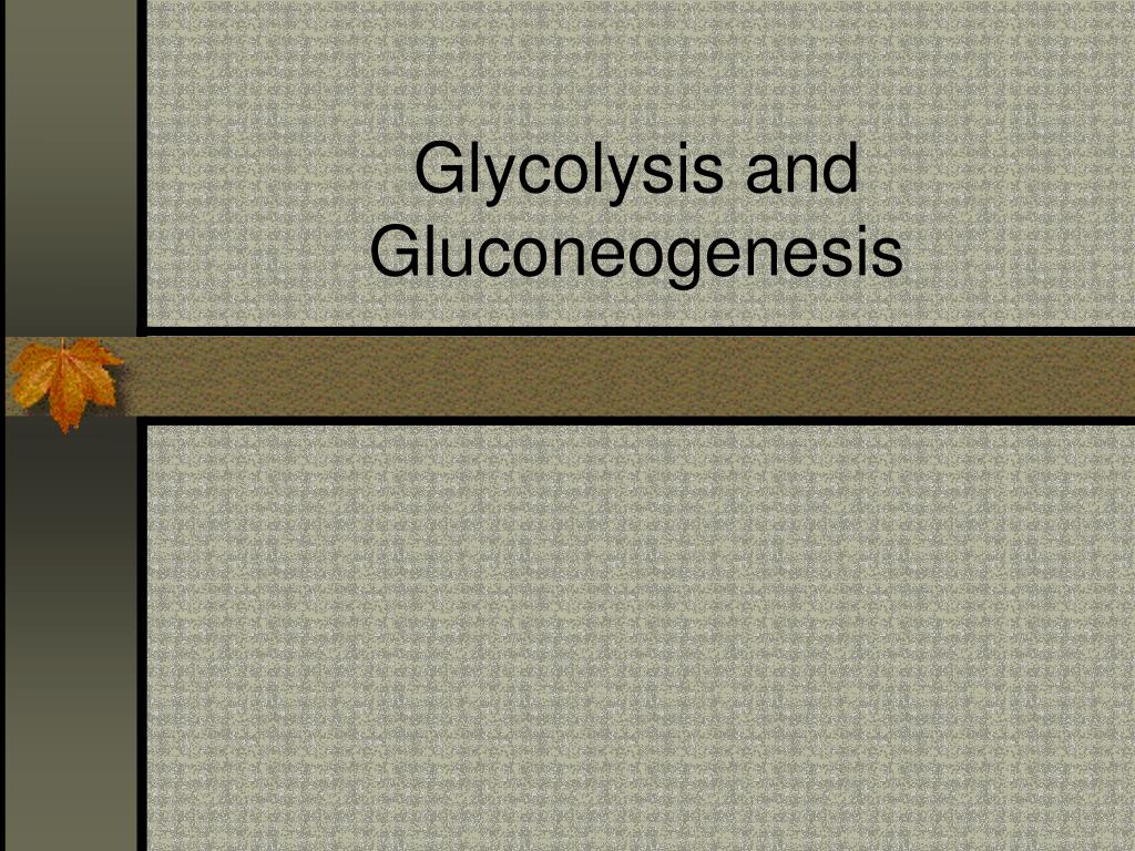 PPT - Glycolysis and Gluconeogenesis PowerPoint Presentation, free ...