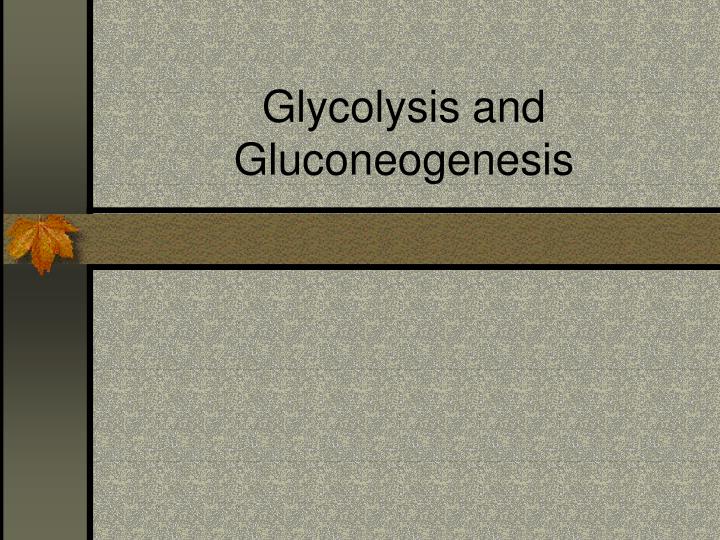 glycolysis and gluconeogenesis