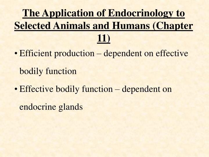 the application of endocrinology to selected animals and humans chapter 11