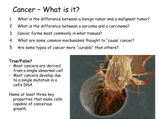 Cancer – What is it?