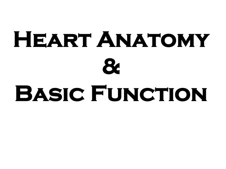 heart anatomy basic function