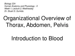 Biology 224 Human Anatomy and Physiology - II Week 1; Lecture 2; Wednesday Dr. Stuart S. Sumida