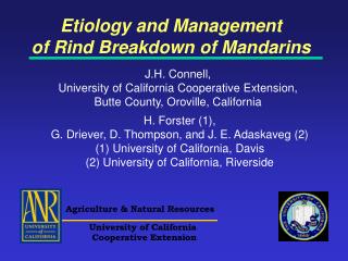 Etiology and Management of Rind Breakdown of Mandarins