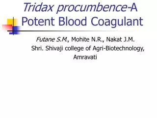 Tridax procumbence- A Potent Blood Coagulant