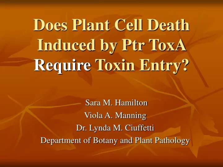 does plant cell death induced by ptr toxa require toxin entry