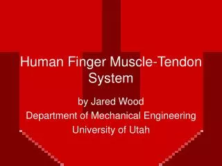 Human Finger Muscle-Tendon System