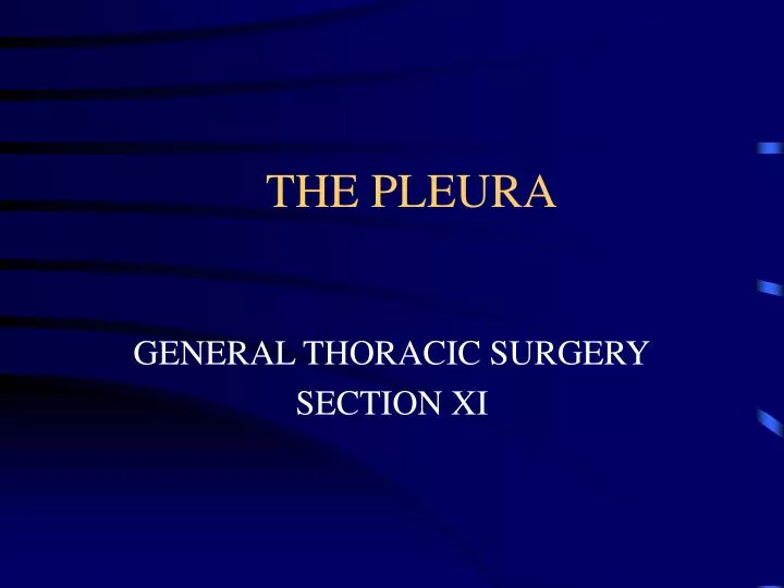the pleura